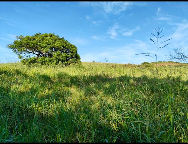 1,586M² VACANT LAND FOR SALE IN SEATON ESTATE